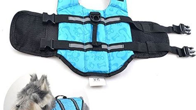 冷库板防火等级，揭秘如何挑选优质品牌
